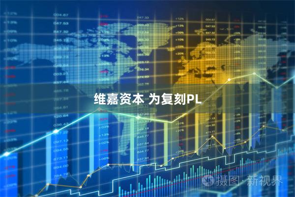 维嘉资本 为复刻PL